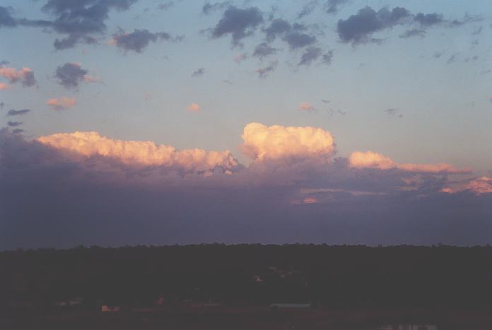 cumulus mediocris : Schofields, NSW   13 December 2001