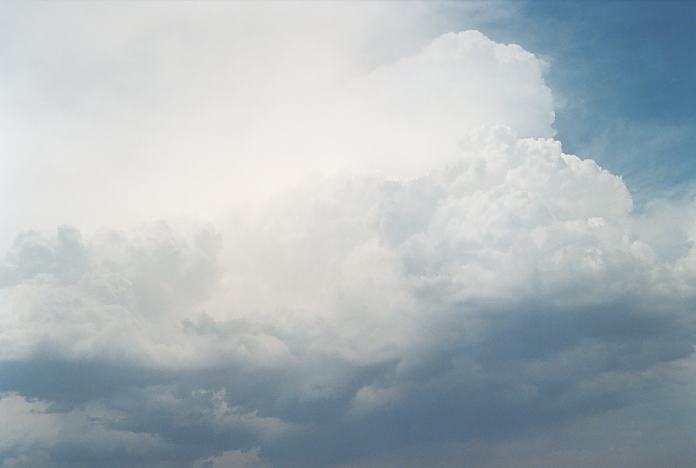 thunderstorm cumulonimbus_incus : Mulbring, NSW   21 December 2001