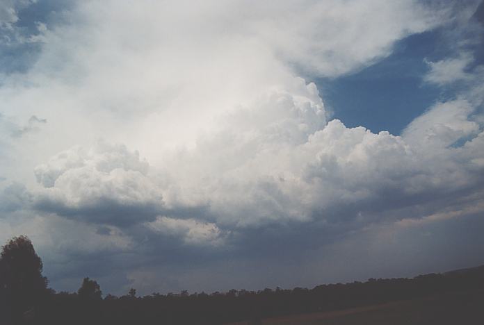 thunderstorm cumulonimbus_incus : N of Mulbring, NSW   21 December 2001