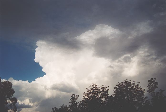 cumulonimbus supercell_thunderstorm : 10km S of Warchope, NSW   22 December 2001