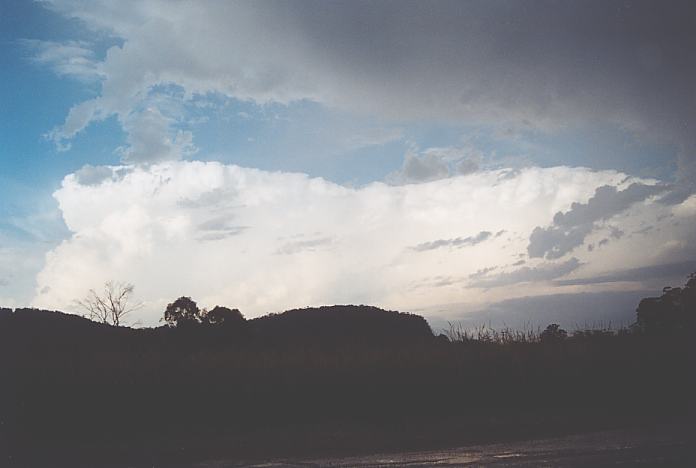 thunderstorm cumulonimbus_incus : S of Kew, NSW   22 December 2001