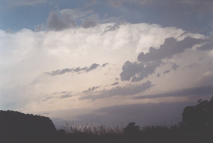 anvil thunderstorm_anvils : S of Kew, NSW   22 December 2001