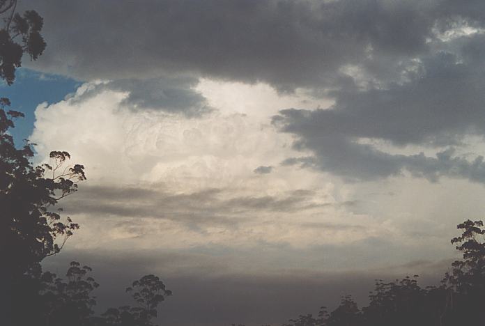 updraft thunderstorm_updrafts : S of Port Macquarie, NSW   22 December 2001