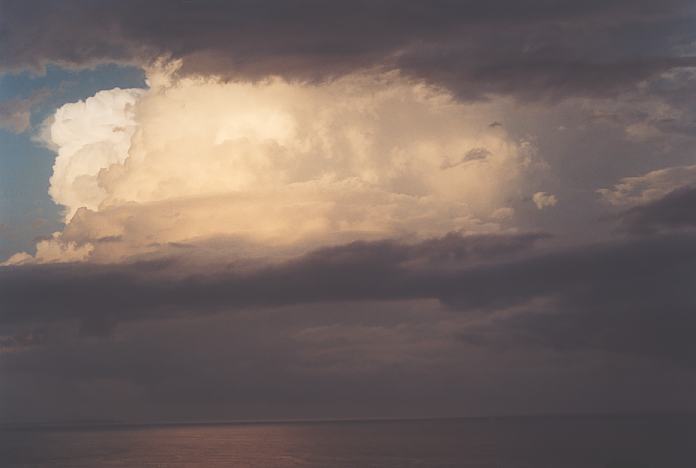 thunderstorm cumulonimbus_incus : Port Macquarie, NSW   22 December 2001