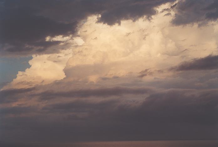 cumulonimbus supercell_thunderstorm : Port Macquarie, NSW   22 December 2001