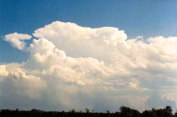 cumulus pyrocumulus : Woodburn, NSW   22 December 2001