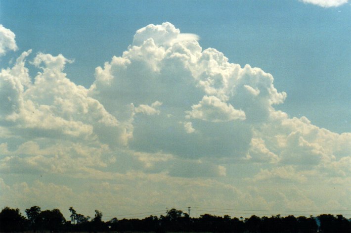 pileus pileus_cap_cloud : Woodburn, NSW   22 December 2001