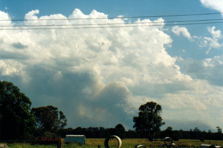 cumulus pyrocumulus : Woodburn, NSW   22 December 2001