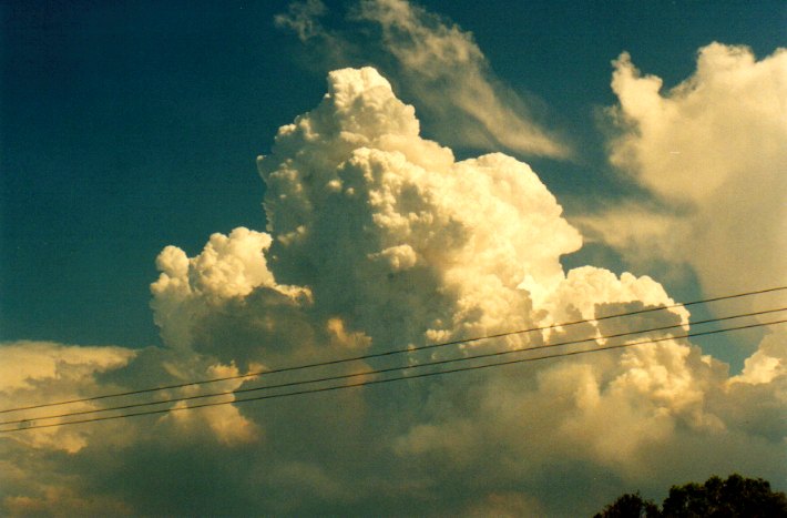 cumulus pyrocumulus : Woodburn, NSW   22 December 2001