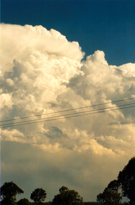 thunderstorm cumulonimbus_incus : Woodburn, NSW   22 December 2001