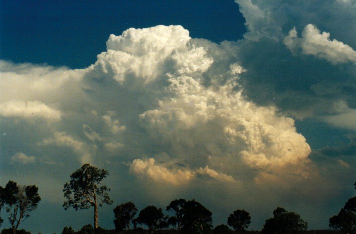 updraft thunderstorm_updrafts : Woodburn, NSW   22 December 2001