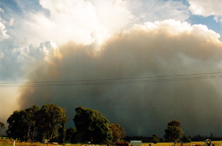 cumulus pyrocumulus : Woodburn, NSW   22 December 2001