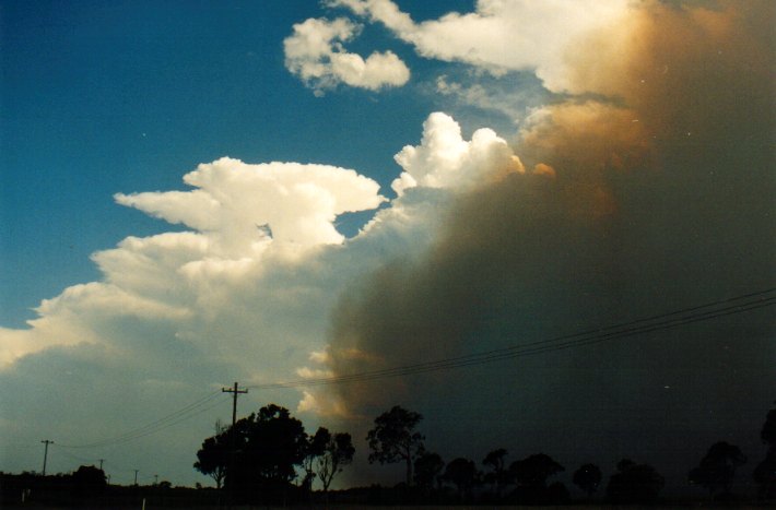 favourites michael_bath : Woodburn, NSW   22 December 2001