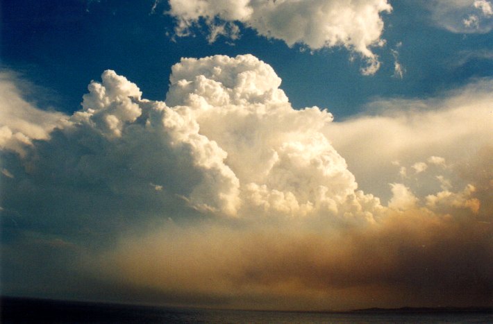 cumulus pyrocumulus : Woodburn, NSW   22 December 2001