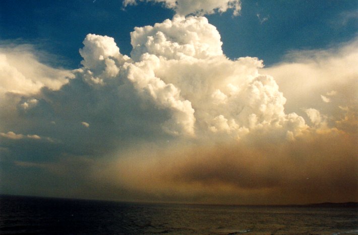 thunderstorm cumulonimbus_calvus : Woodburn, NSW   22 December 2001