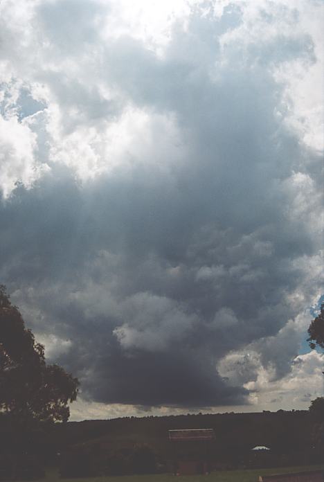 cumulonimbus thunderstorm_base : Comboyne, NSW   23 December 2001