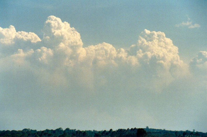 cumulus congestus : Lindendale, NSW   24 December 2001