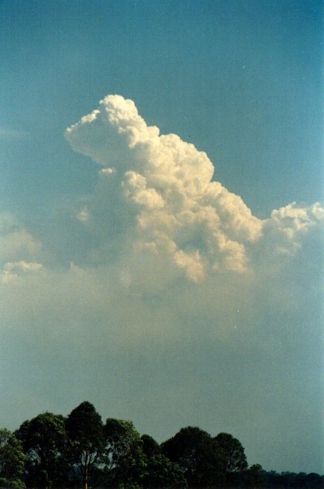 cumulus congestus : Lindendale, NSW   24 December 2001