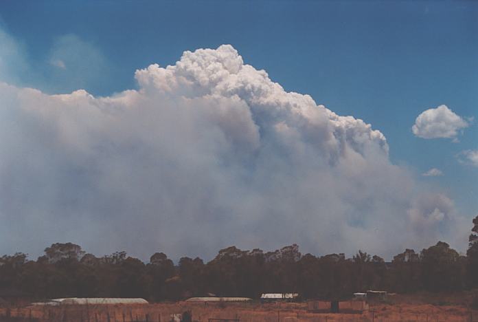 bushfire wild_fire : Schofields, NSW   25 December 2001