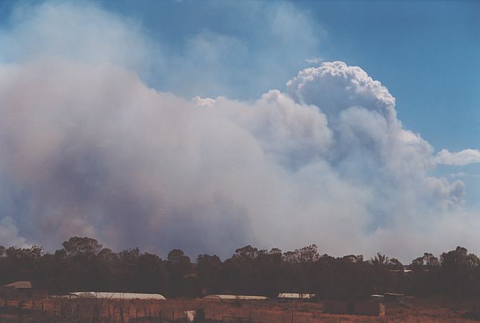 bushfire wild_fire : Schofields, NSW   25 December 2001