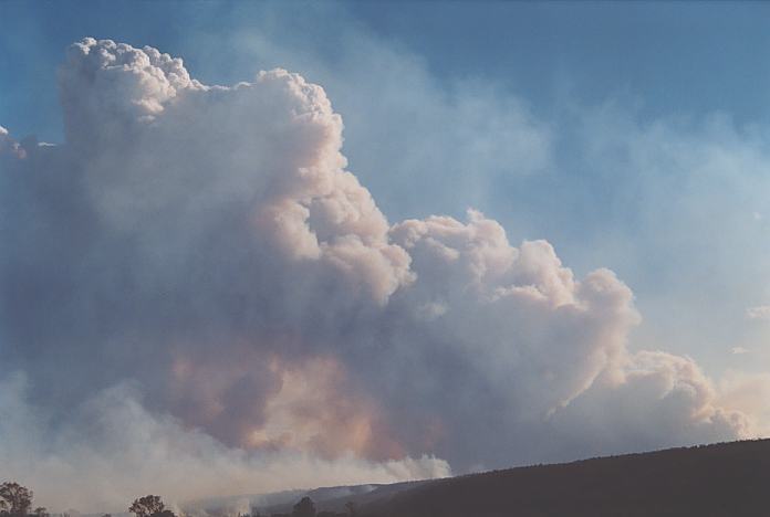 bushfire wild_fire : Castlereagh, NSW   25 December 2001