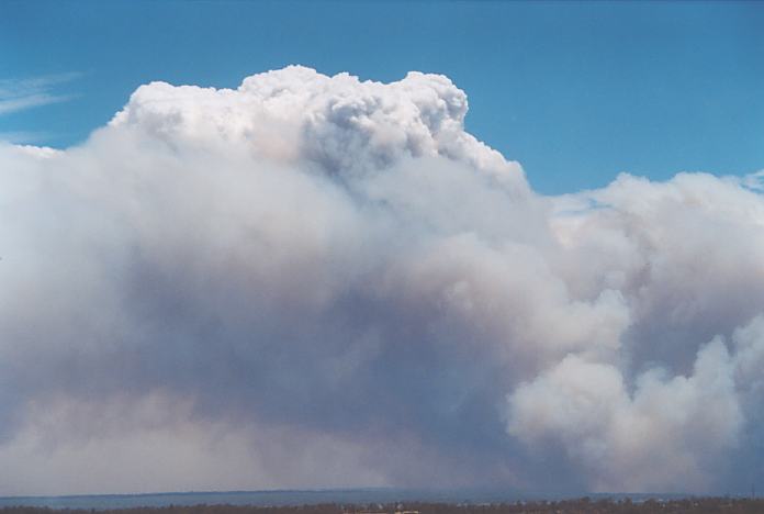 cumulus pyrocumulus : Kurrajong, NSW   26 December 2001