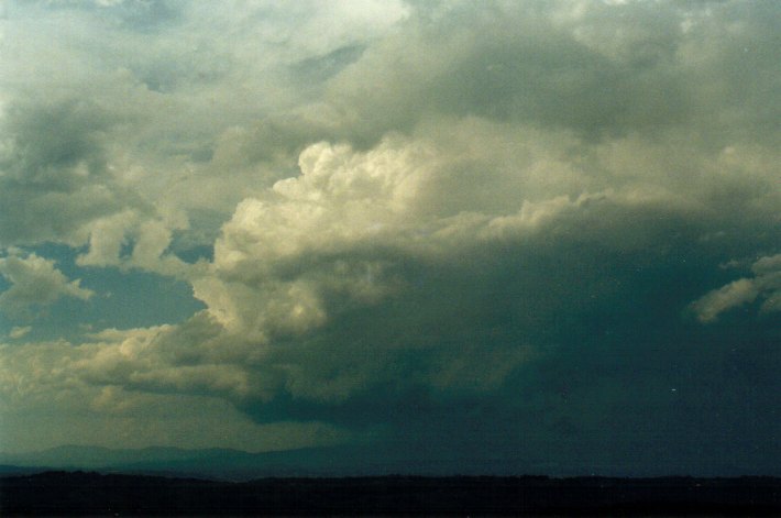 thunderstorm cumulonimbus_calvus : McLeans Ridges, NSW   29 December 2001