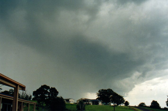 cumulonimbus thunderstorm_base : McLeans Ridges, NSW   29 December 2001