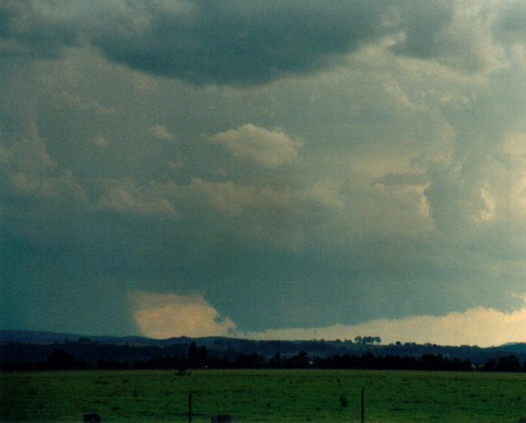 wallcloud thunderstorm_wall_cloud : N of Casino, NSW   30 December 2001