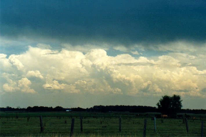 thunderstorm cumulonimbus_calvus : N of Casino, NSW   30 December 2001