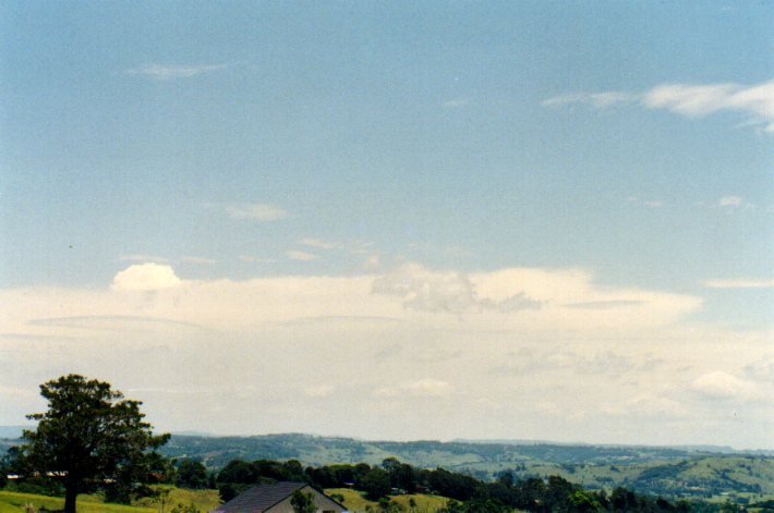 thunderstorm cumulonimbus_incus : McLeans Ridges, NSW   31 December 2001