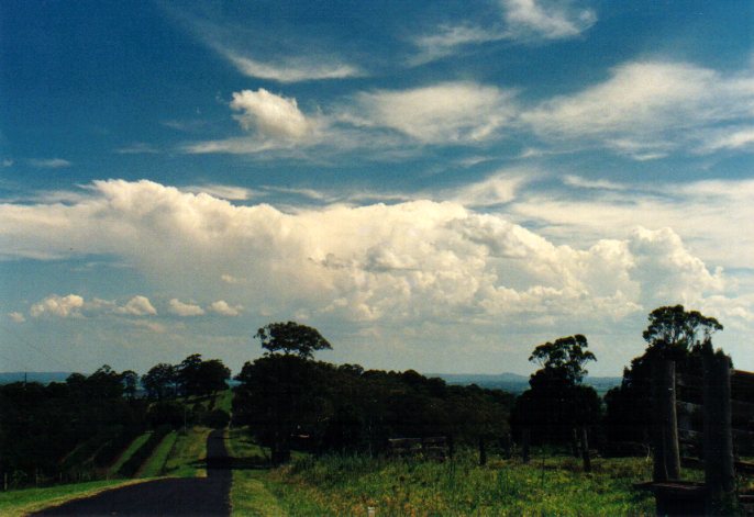 thunderstorm cumulonimbus_incus : Tregeagle, NSW   1 January 2002