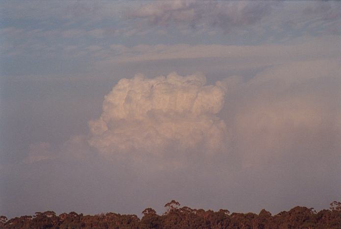 thunderstorm cumulonimbus_calvus : Schofields, NSW   7 January 2002