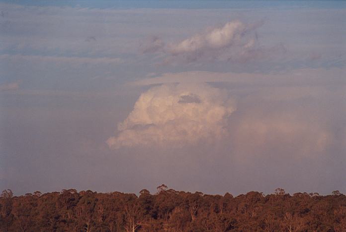 pileus pileus_cap_cloud : Schofields, NSW   7 January 2002