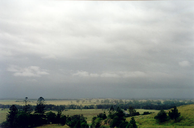 cumulonimbus thunderstorm_base : Parrots Nest, NSW   16 January 2002