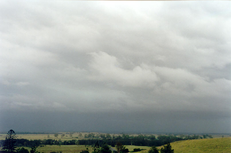 cumulonimbus thunderstorm_base : Parrots Nest, NSW   16 January 2002