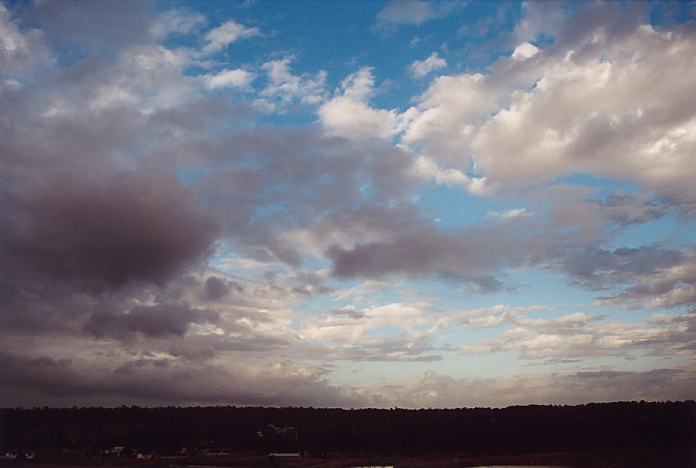 stratocumulus stratocumulus_cloud : Schofields, NSW   6 February 2002