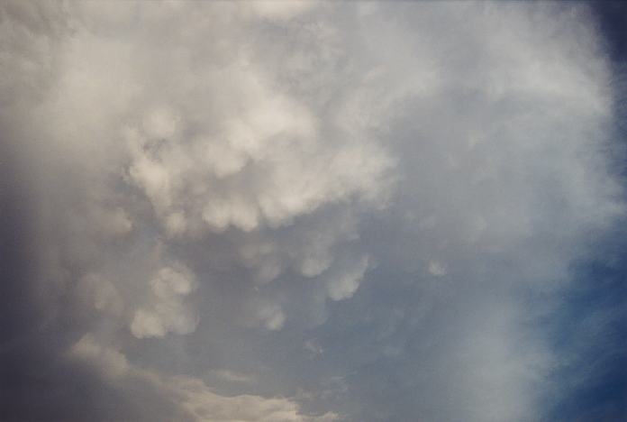 mammatus mammatus_cloud : Schofields, NSW   7 February 2002