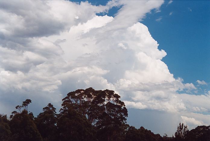 thunderstorm cumulonimbus_incus : Ourimbah, NSW   8 February 2002