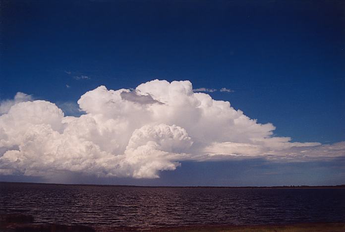 cumulonimbus supercell_thunderstorm : E of Raymond Terrace, NSW   8 February 2002