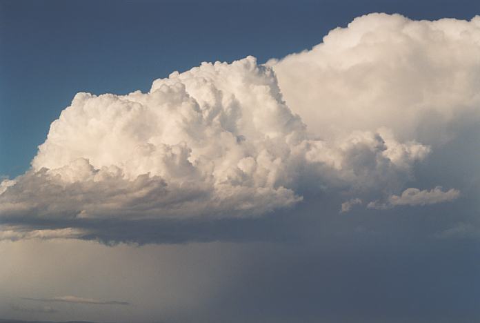 thunderstorm cumulonimbus_calvus : Port Stephens, NSW   8 February 2002