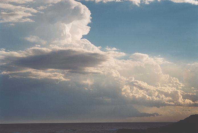 cumulonimbus thunderstorm_base : Anna Bay, NSW   8 February 2002