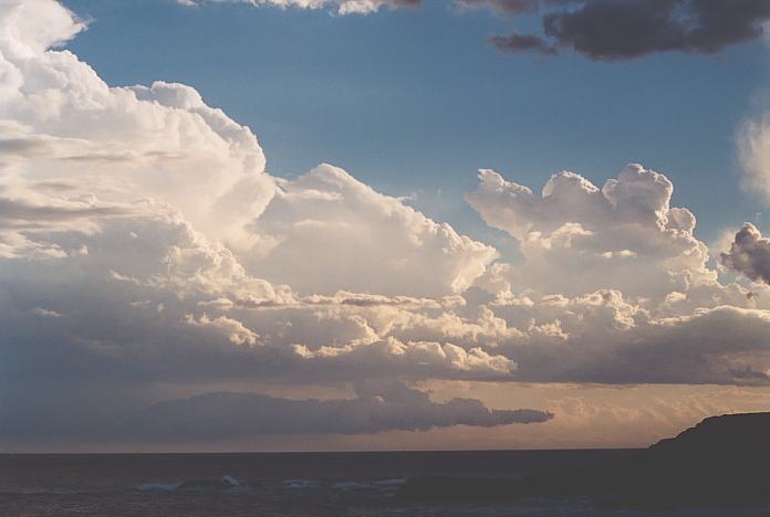 thunderstorm cumulonimbus_calvus : Anna Bay, NSW   8 February 2002