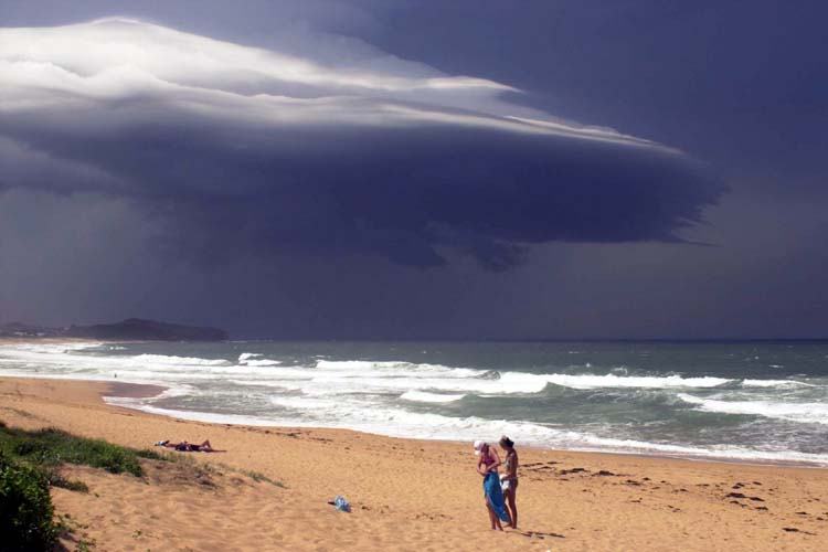 contributions received : Narrabeen, NSW<BR>Photo by John Grainger   8 February 2002