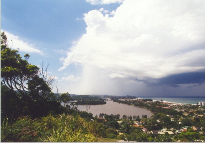 contributions received : Collaroy Plateau , NSW<BR>Photo by Judy Mayo   8 February 2002