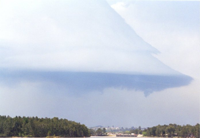 contributions received : Lakeside, NSW<BR>Photo by Judy Mayo   8 February 2002