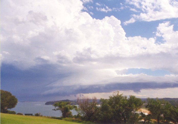 contributions received : Mona Vale Headland, NSW<BR>Photo by Judy Mayo   8 February 2002