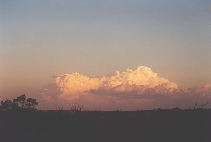 thunderstorm cumulonimbus_calvus : Freeway Wyee, NSW   10 February 2002