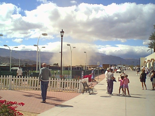 contributions received : near Palm Springs, California, USA<BR>Photo by John Graham   7 March 2002