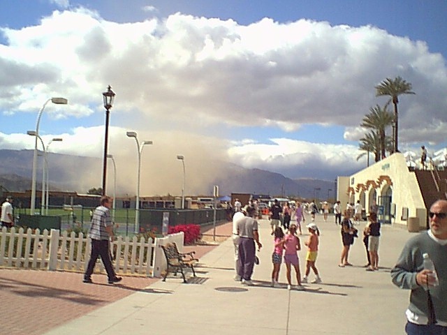 contributions received : near Palm Springs, California, USA<BR>Photo by John Graham   7 March 2002